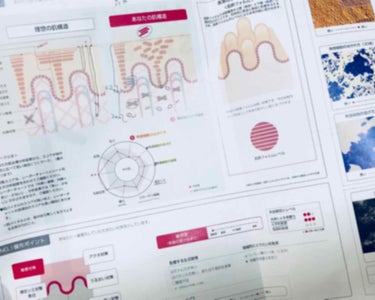 無料サンプル(約5日分)/APEX/トライアルキットを使ったクチコミ（2枚目）