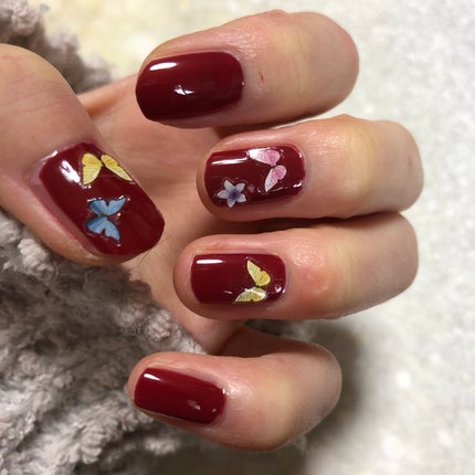 カラフルネイルズ N02 シックボルドー/キャンメイク/マニキュアを使ったクチコミ(1枚目)