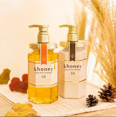 ディープモイスト シャンプー1.0／ヘアトリートメント2.0/&honey/シャンプー・コンディショナーを使ったクチコミ（1枚目）