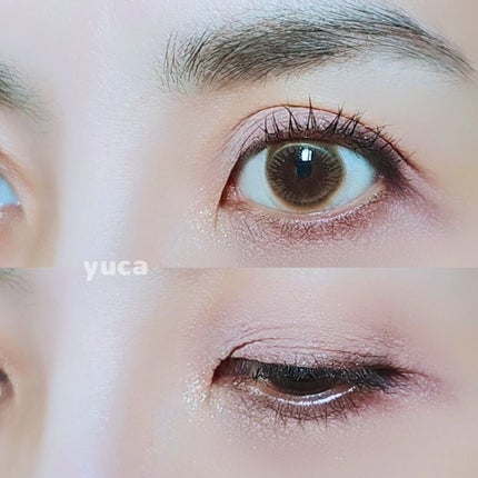 アーティストアイパレット/JUNG SAEM MOOL/アイシャドウパレットを使ったクチコミ(5枚目)