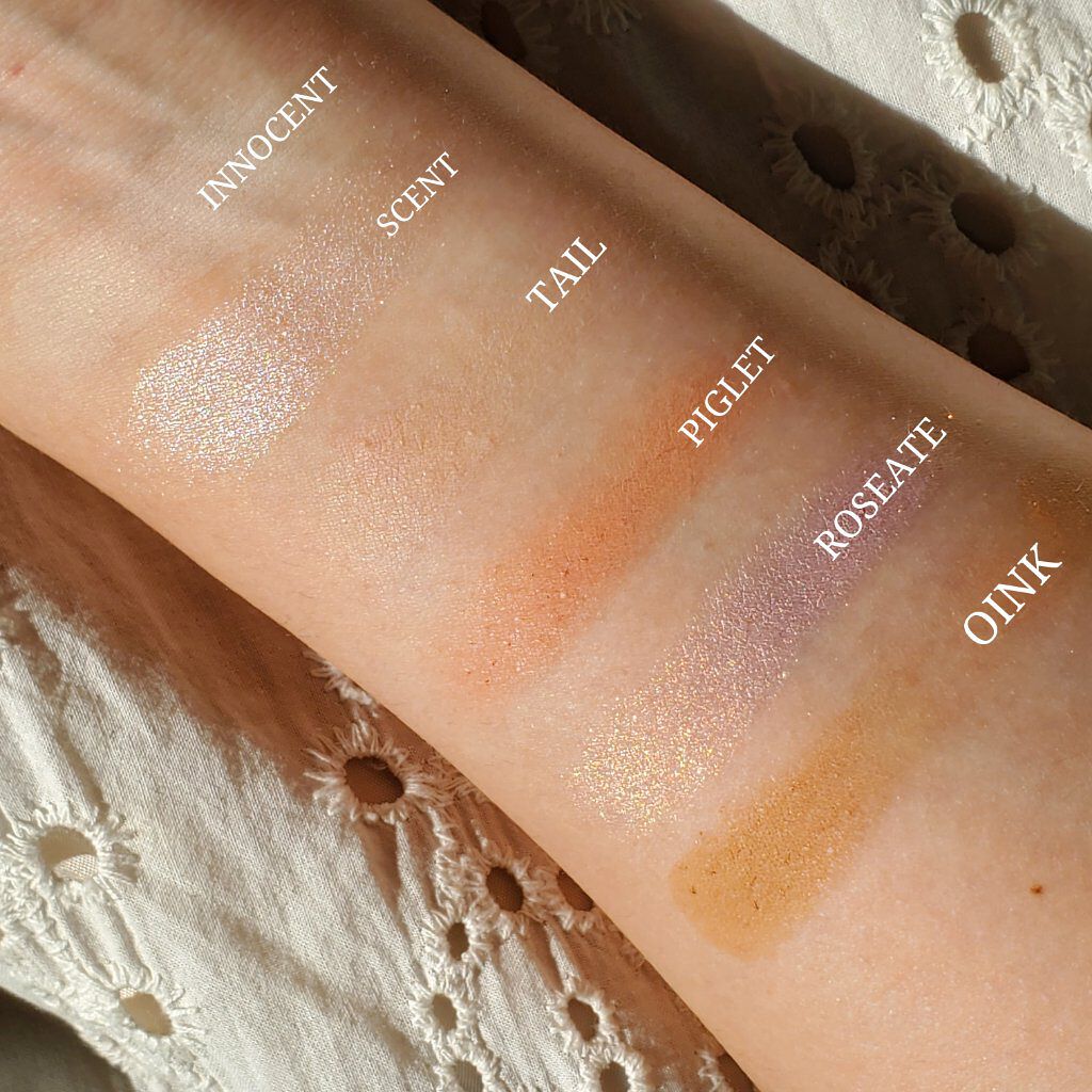 エクスプローラ12色 動物アイシャドウパレット/PERFECT DIARY/アイシャドウパレットを使ったクチコミ（3枚目）