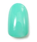 WG-17 Mermaid Turquoise