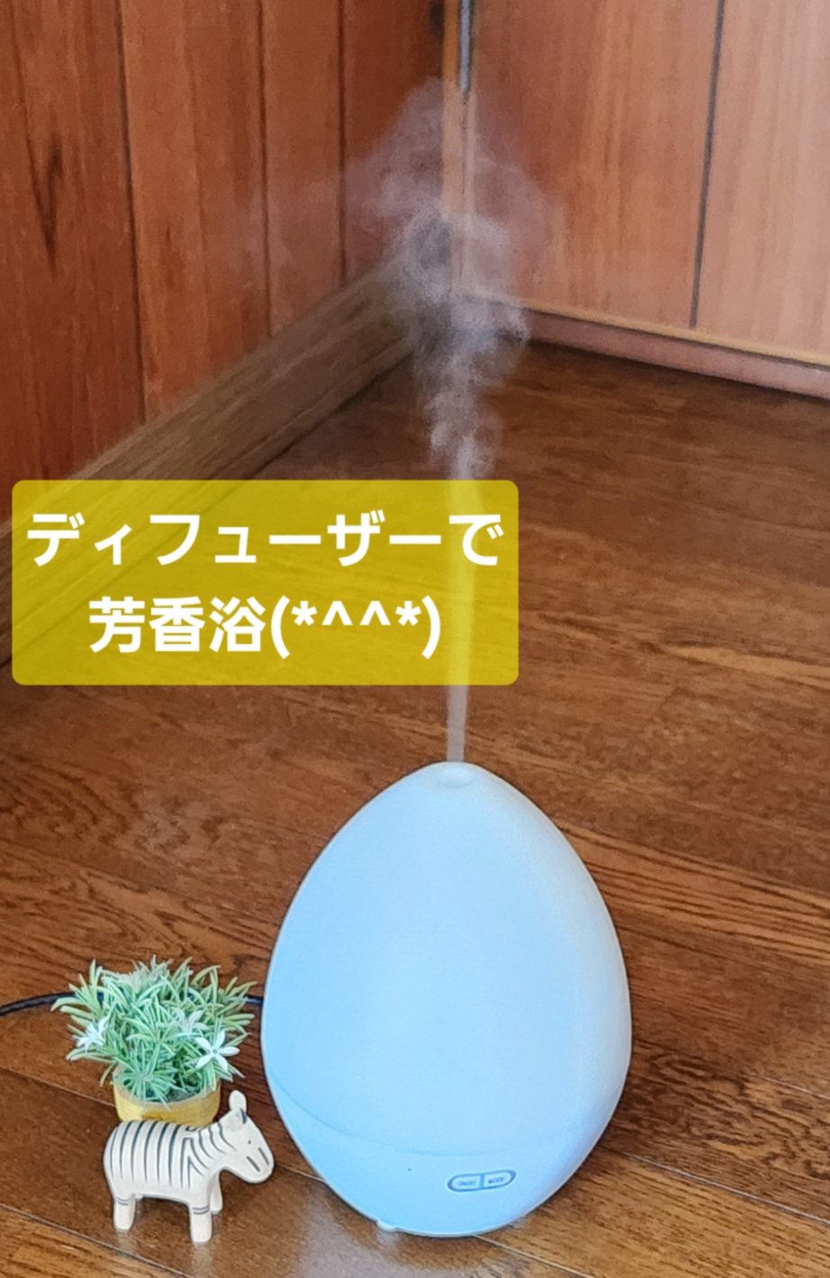 を使ったクチコミ（2枚目）