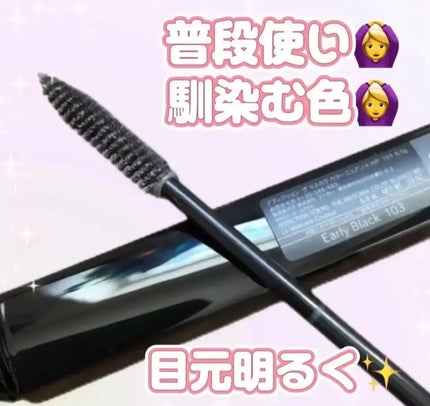 アディクション ザ マスカラ カラーニュアンス WP 103 Early Black/ADDICTION/マスカラの画像