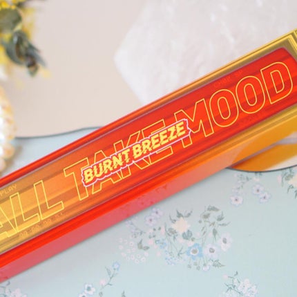 オール テイク ムード パレット(24AD)/PERIPERA/アイシャドウパレットを使ったクチコミ(5枚目)