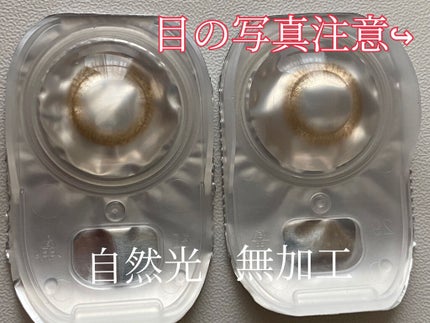 エルージュ 2weeks/éRouge/2週間(2WEEKS)カラコンを使ったクチコミ(2枚目)