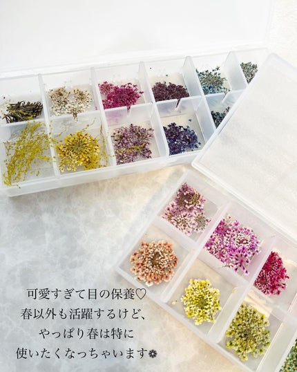 ナチュラルドライフラワー Bシリーズ/S♡Mint/ネイルチップ・パーツを使ったクチコミ(8枚目)