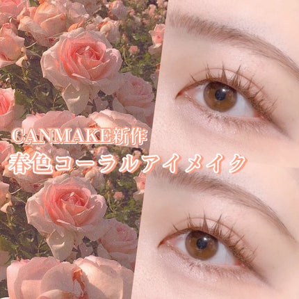 シルキースフレアイズ/キャンメイク/アイシャドウパレットを使ったクチコミ(1枚目)