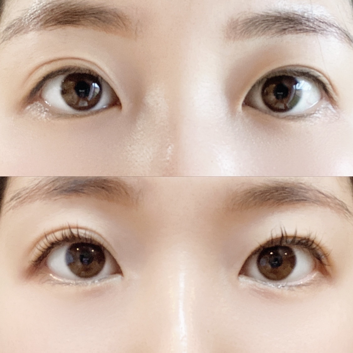 セルフラッシュパーマ/ENTROPY/その他キットセットを使ったクチコミ（1枚目）