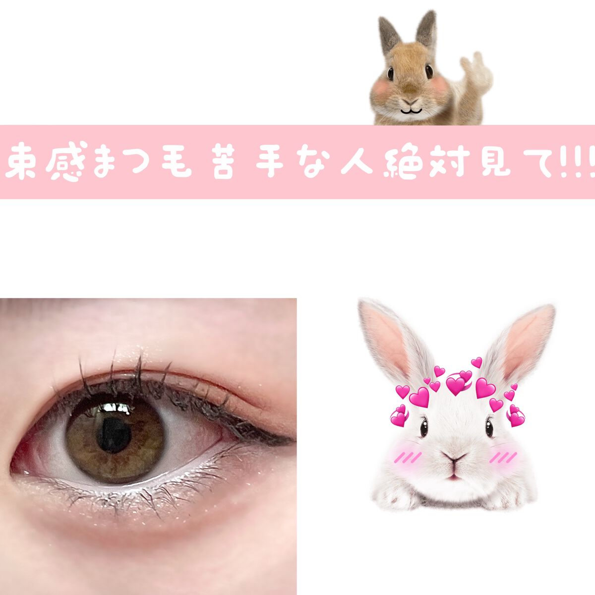 クリア マスカラR/CEZANNE/マスカラ下地を使ったクチコミ(1枚目)