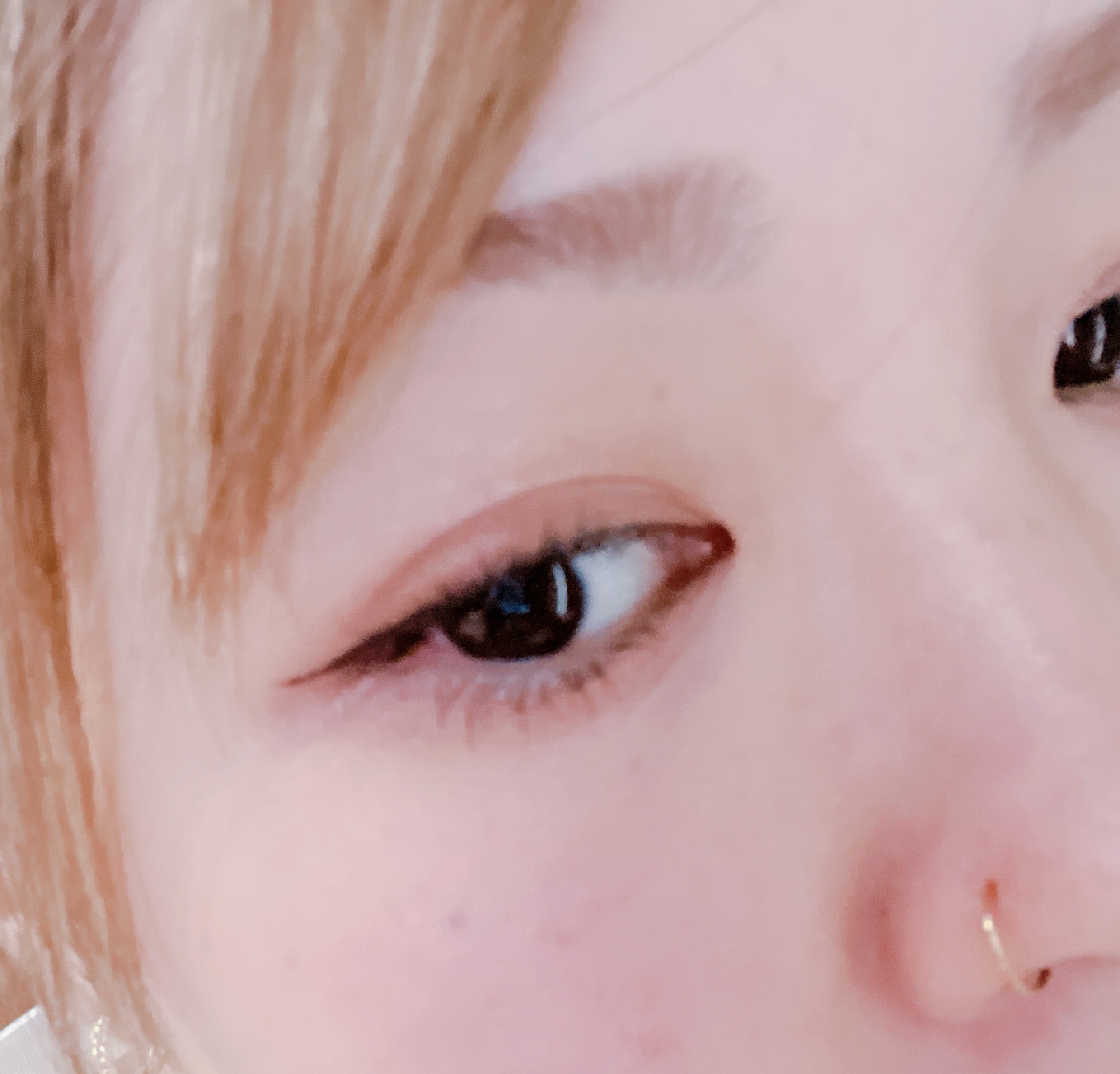 パノラマデザイン アイパレット BR-5 カシスブラウン/Visée/アイシャドウパレットを使ったクチコミ（3枚目）