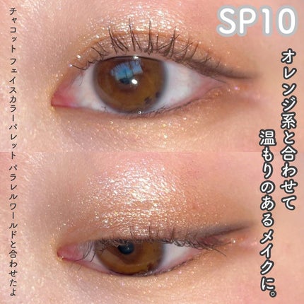 マルチカラーバリエーション スパークル/チャコット・コスメティクス/単色アイシャドウを使ったクチコミ(5枚目)