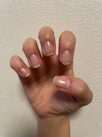 を使ったクチコミ(2枚目)