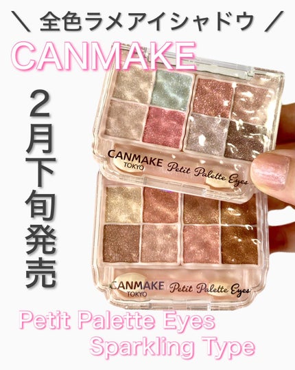 プティパレットアイズ(スパークリングタイプ)/キャンメイク/アイシャドウを使ったクチコミ(1枚目)