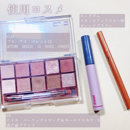 プロ アイ パレット/CLIO/アイシャドウパレットを使ったクチコミ(2枚目)