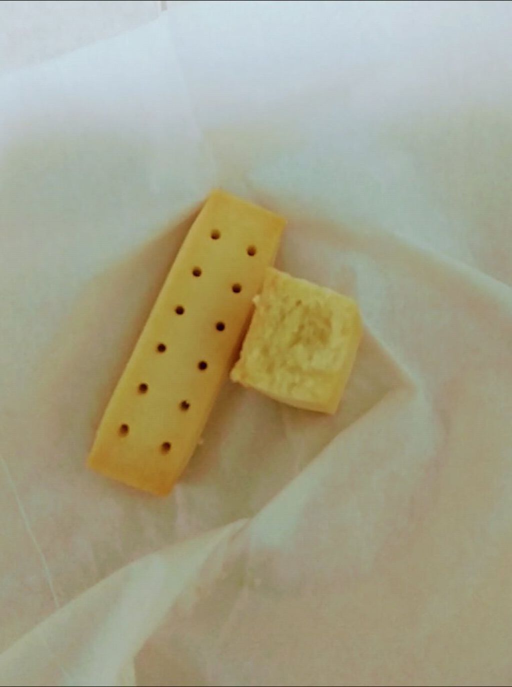 ライトミール ブロック/イオン/バランス栄養食を使ったクチコミ（3枚目）