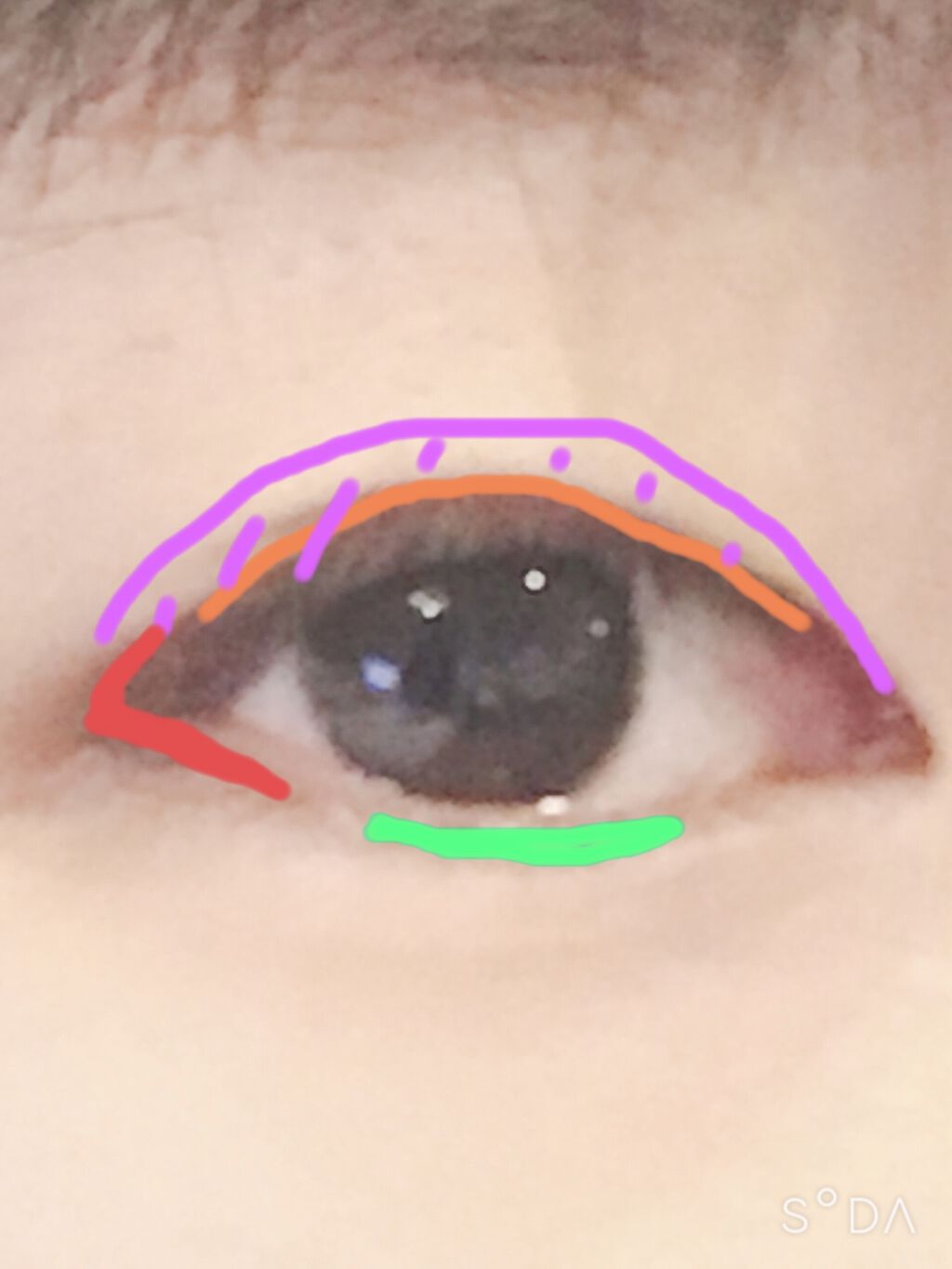 UR GLAM　BLOOMING EYE COLOR PALETTE/U R GLAM/アイシャドウパレットを使ったクチコミ（3枚目）