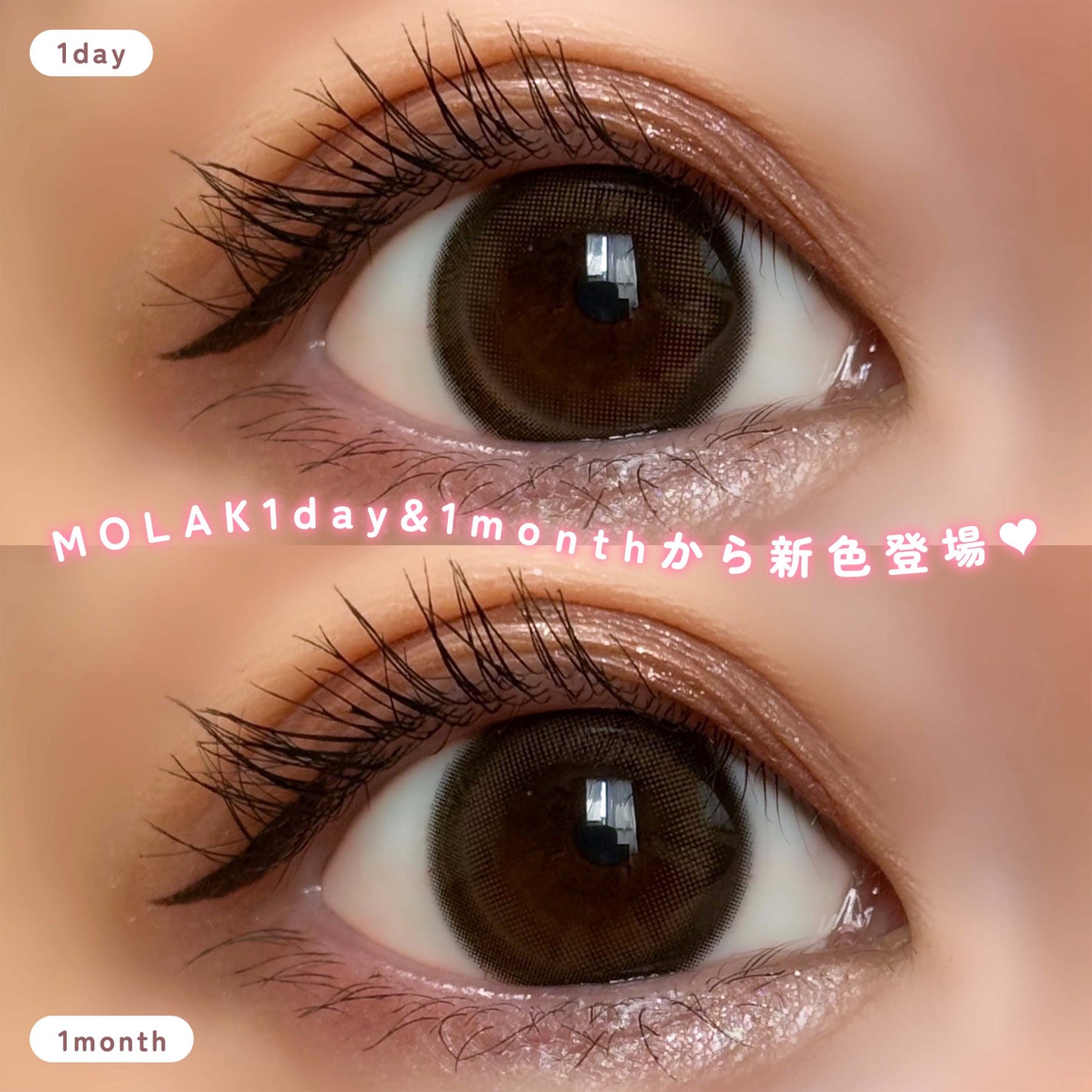 MOLAK 1day/MOLAK/ワンデー(1DAY)カラコンを使ったクチコミ(2枚目)