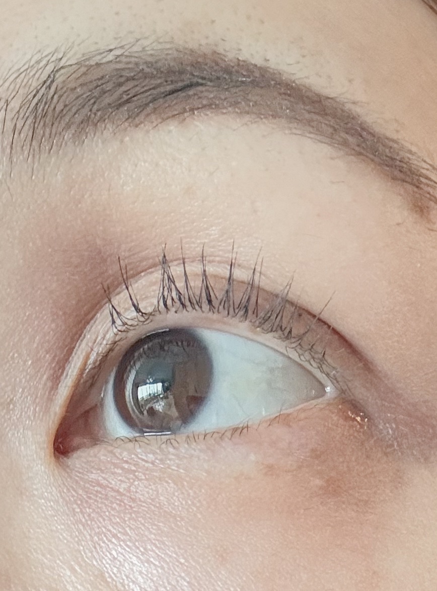 ミゼルエディ カールアップマスカラ ロング/ミゼルエディ/マスカラを使ったクチコミ（1枚目）