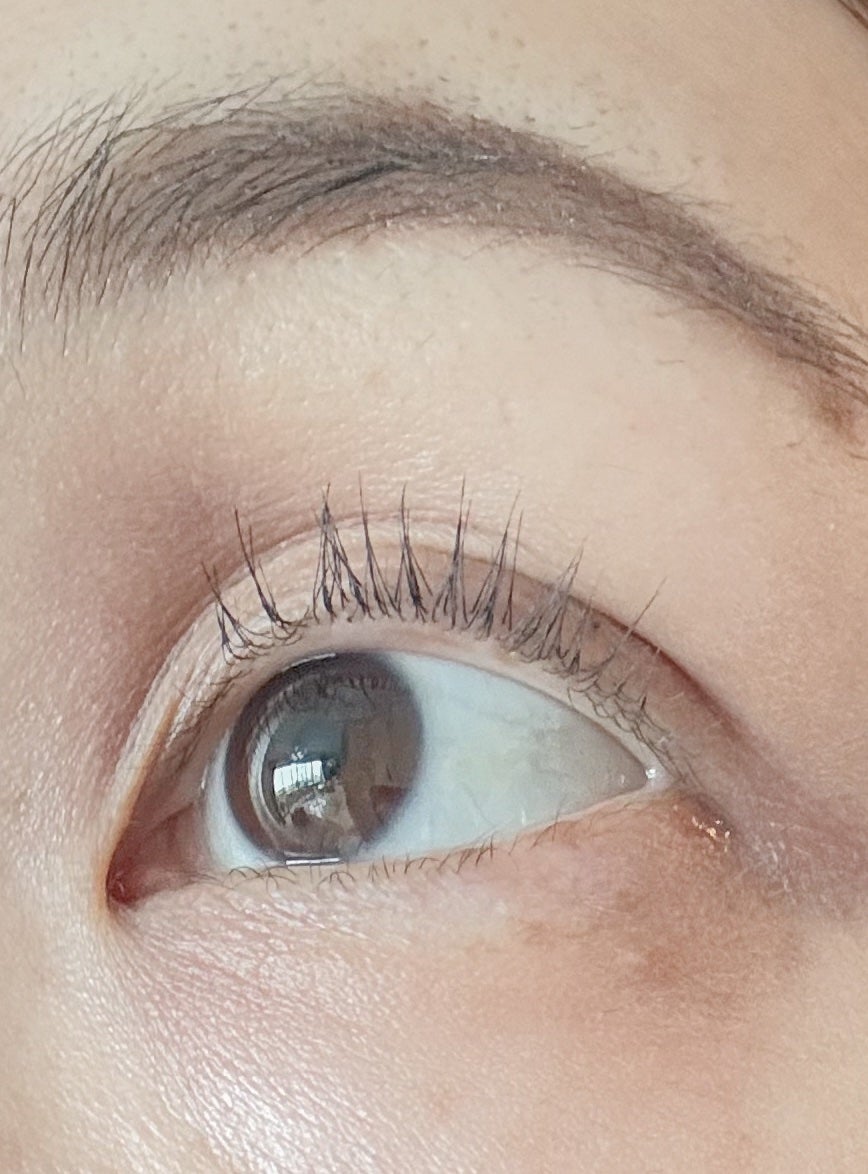 ミゼルエディ カールアップマスカラ ロング/ミゼルエディ/マスカラを使ったクチコミ(1枚目)