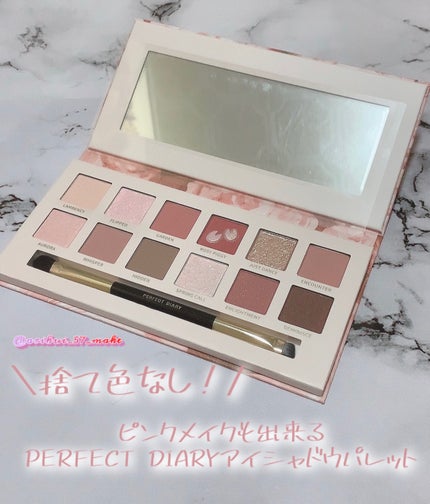 エクスプローラ12色 動物アイシャドウパレット/PERFECT DIARY/アイシャドウパレットを使ったクチコミ(1枚目)