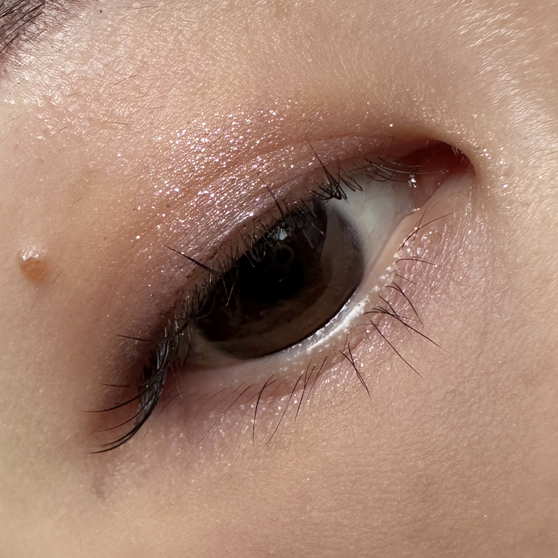 【旧】ディオールショウ サンク クルール（プラン ドゥ パリ コレクション限定品）/Dior/アイシャドウを使ったクチコミ（3枚目）