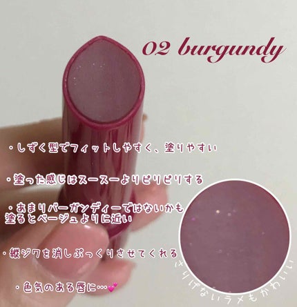 エテュセ リップエディション(プランパー)リッチスタイル/ヘルシースタイル/ettusais/リップケアを使ったクチコミ(4枚目)