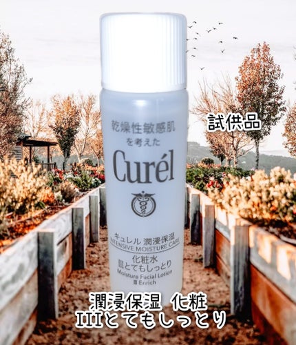 潤浸保湿 化粧水 III とてもしっとり/キュレル/化粧水を使ったクチコミ(1枚目)