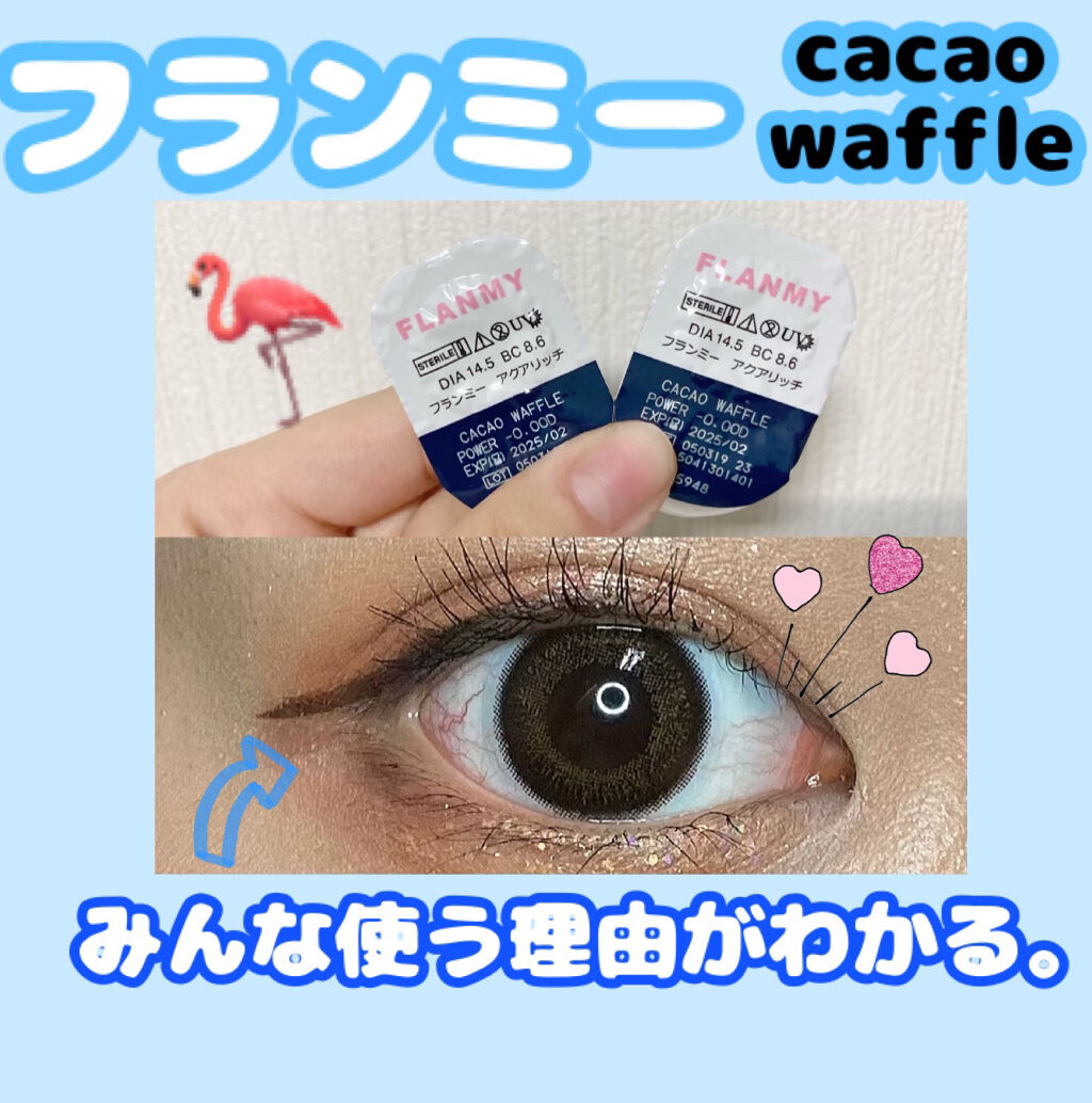 FLANMY 1day/FLANMY/ワンデー（１DAY）カラコンを使ったクチコミ（1枚目）