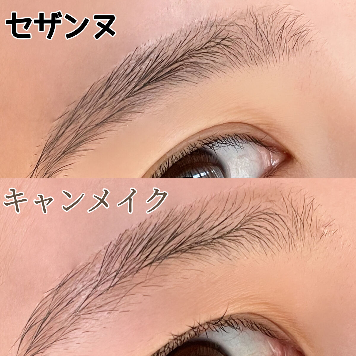 あなたはどっち派？CEZANNE・キャンメイクのアイブロウペンシルを徹底