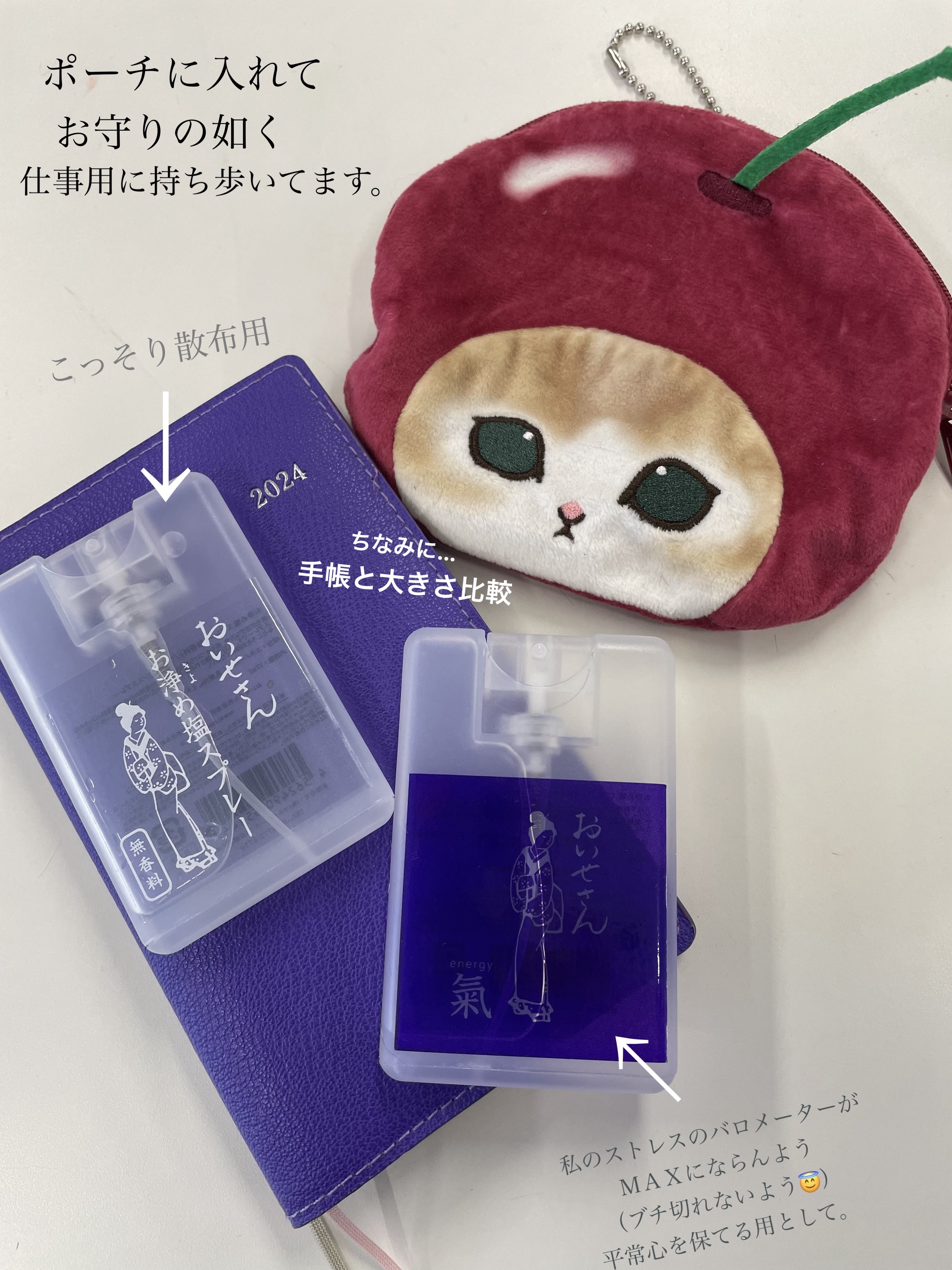 お浄め氣スプレー/おいせさん/香水(その他)を使ったクチコミ（2枚目）