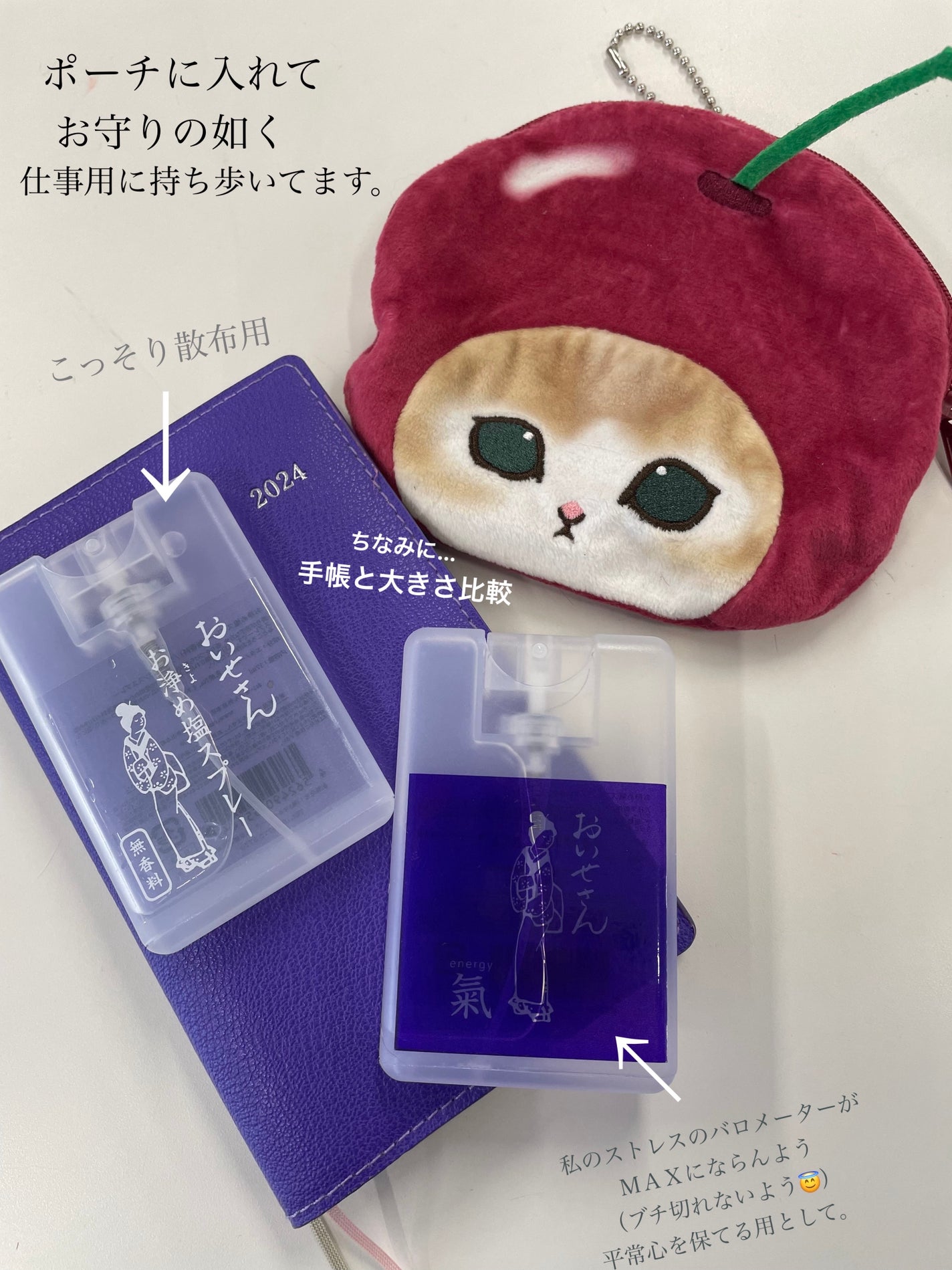 お浄め塩スプレー/おいせさん/その他を使ったクチコミ(2枚目)