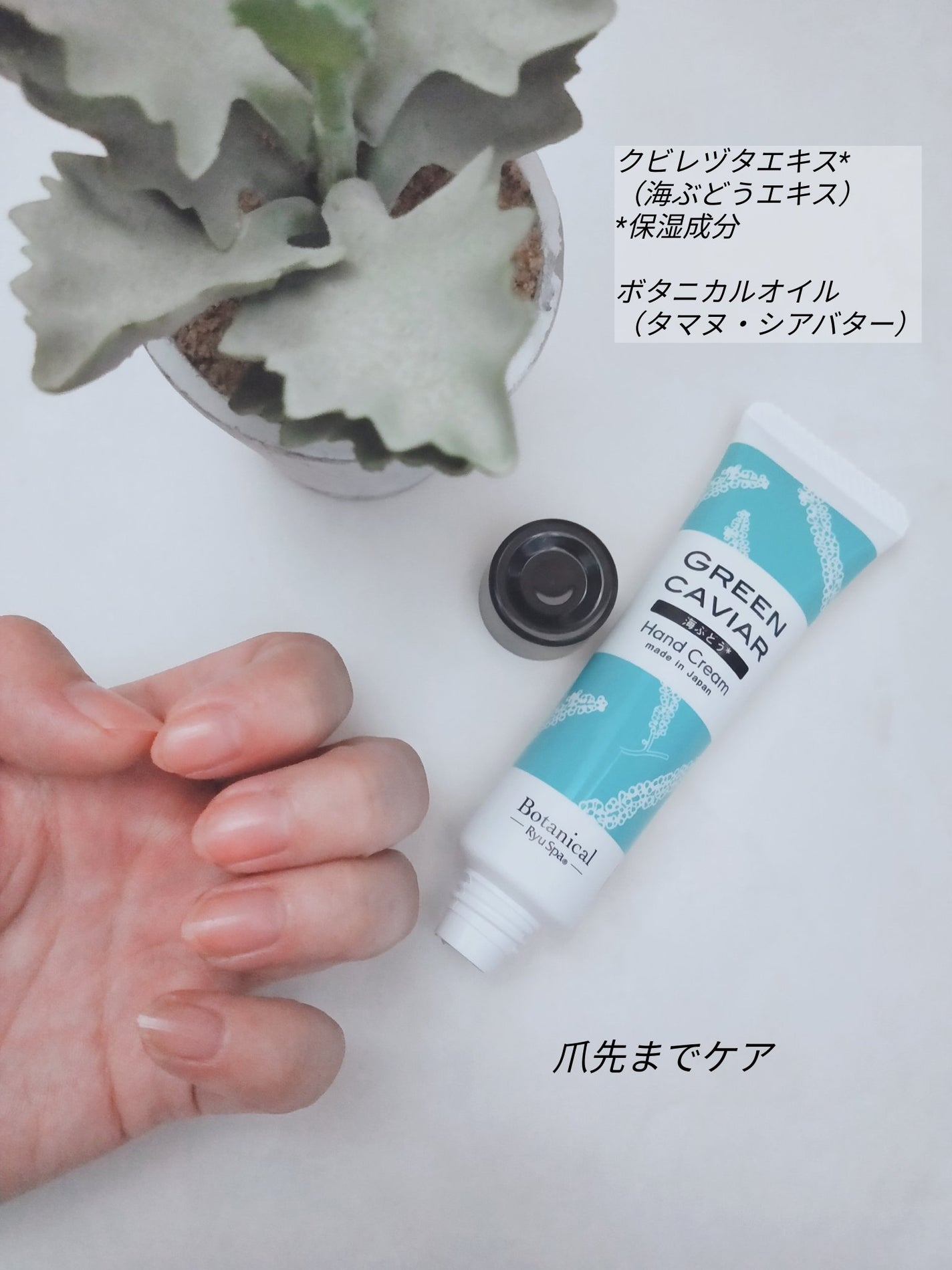 Botanicalネイル&ハンドクリーム 海ぶどう/Ryu Spa/ハンドクリームを使ったクチコミ(4枚目)