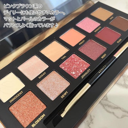 エクスプローラ12色 動物アイシャドウパレット/PERFECT DIARY/アイシャドウパレットを使ったクチコミ(3枚目)