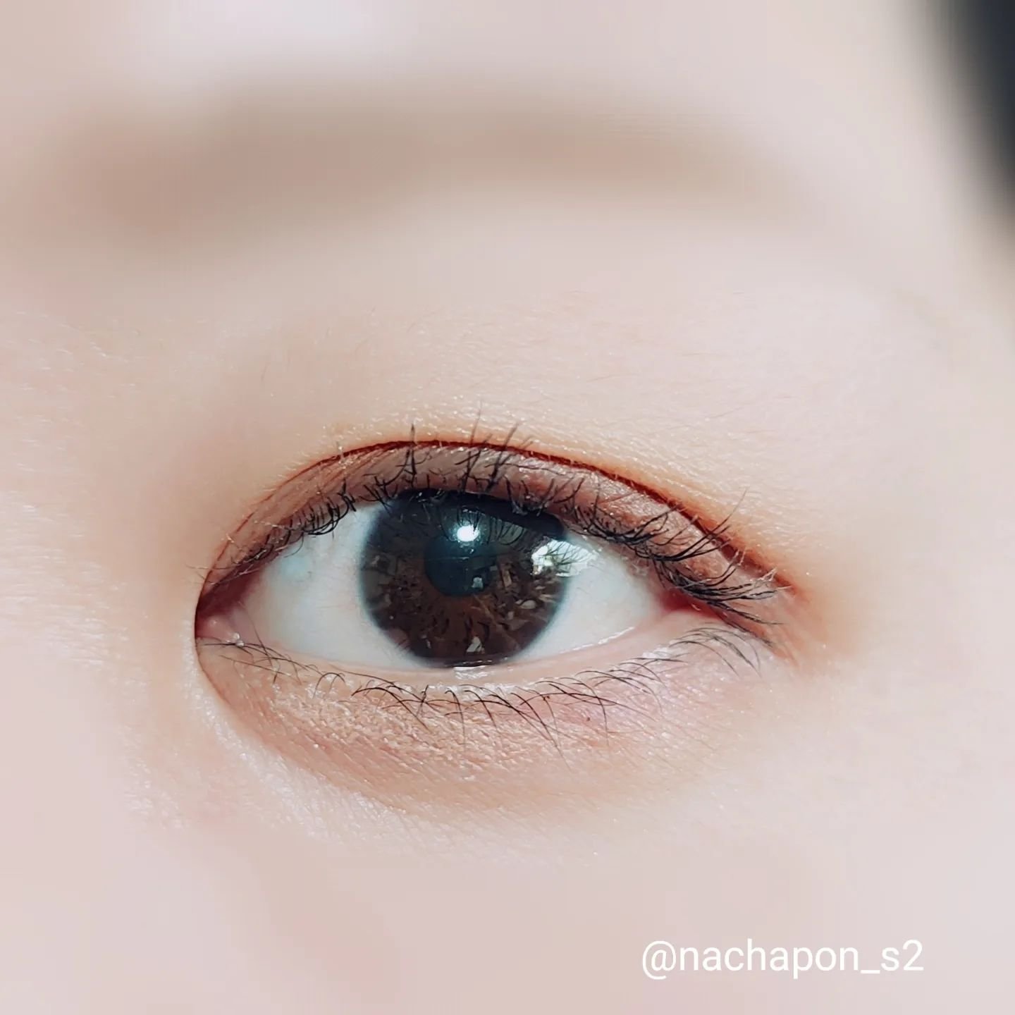 ムードキーボード 01 アッシュシナモン(Ash Cinanamon)/lilybyred/アイシャドウパレットを使ったクチコミ（3枚目）