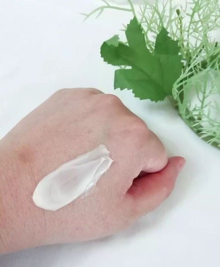 オーバーナイト ヴェールクリーム/BRIGHTAGE/フェイスクリームを使ったクチコミ(4枚目)