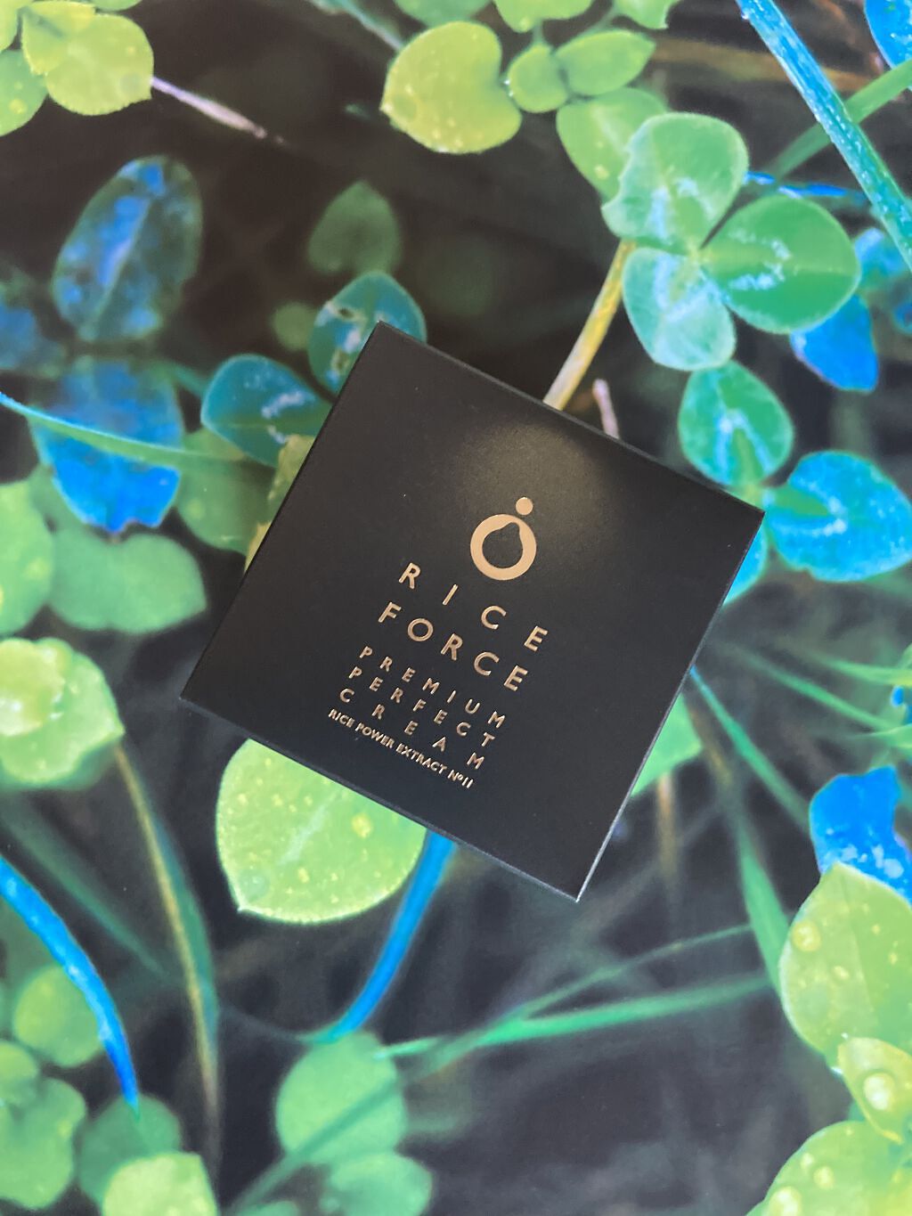 プレミアムパーフェクトクリーム/ライスフォース/フェイスクリームを使ったクチコミ（1枚目）