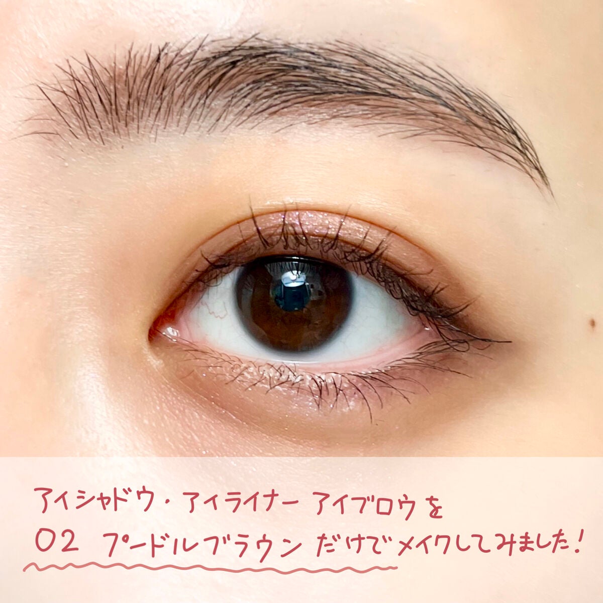 わんだふるアイカラー/KIREI FACTORY/アイシャドウパレットを使ったクチコミ(5枚目)