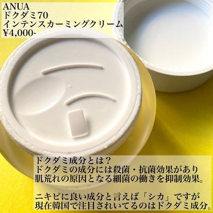ドクダミ 70 インテンスカーミングクリーム/Anua/フェイスクリームを使ったクチコミ(2枚目)