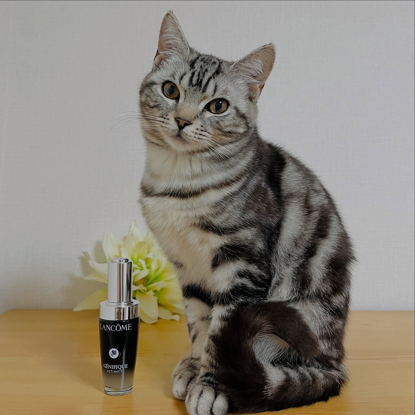 ジェニフィック アルティメ セラム/LANCOME/美容液を使ったクチコミ（1枚目）