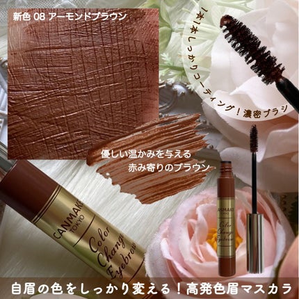 カラーチェンジアイブロウ/キャンメイク/眉マスカラを使ったクチコミ(2枚目)