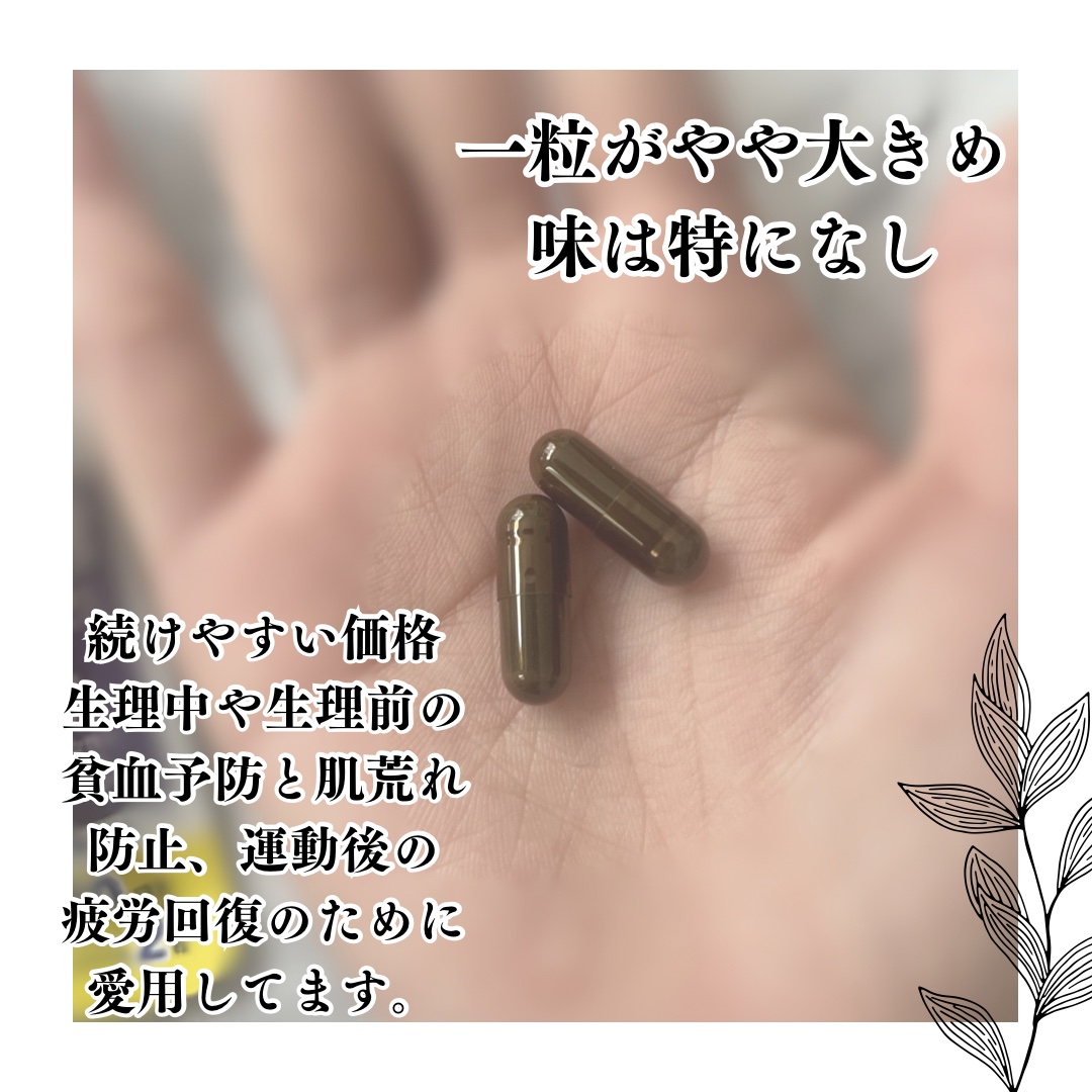 DHC ヘム鉄/DHC/健康サプリメントを使ったクチコミ（3枚目）