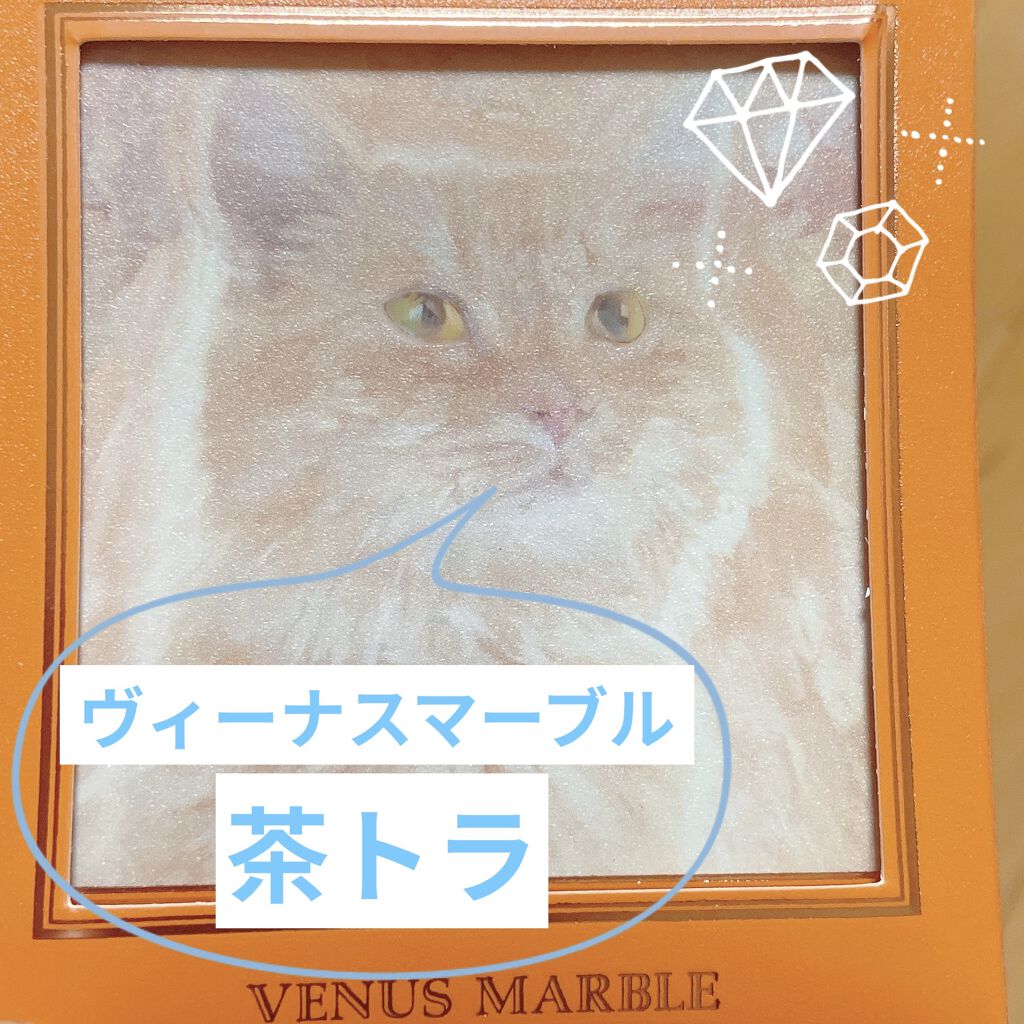 Venus Marble アイシャドウキャットシリーズ/Venus Marble/アイシャドウパレットを使ったクチコミ（1枚目）