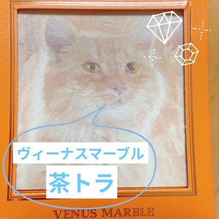 Venus Marble アイシャドウキャットシリーズ/Venus Marble/アイシャドウパレットを使ったクチコミ(1枚目)