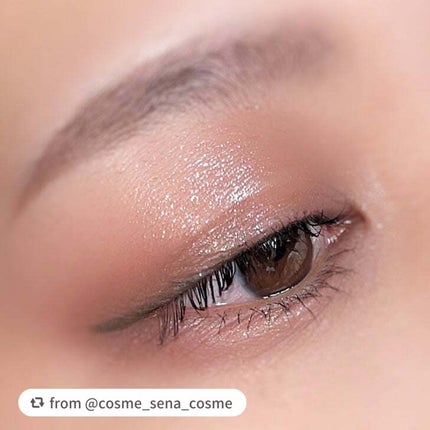 エクスプローラ12色 動物アイシャドウパレット/PERFECT DIARY/アイシャドウパレットを使ったクチコミ(3枚目)