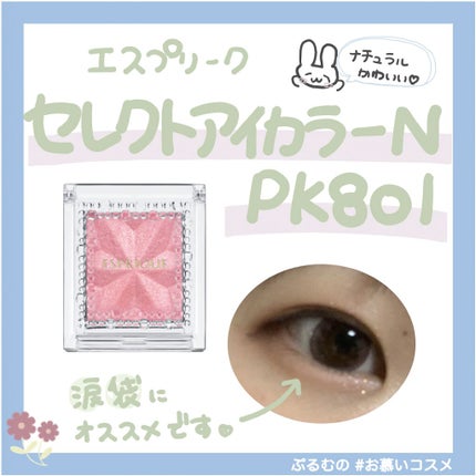 セレクト アイカラー N/ESPRIQUE/単色アイシャドウを使ったクチコミ(1枚目)