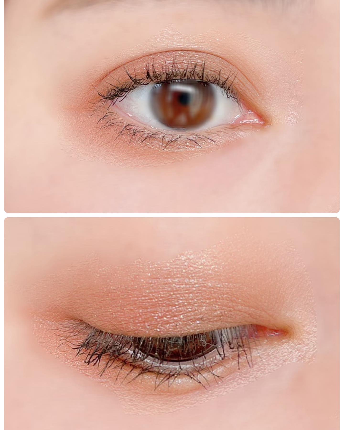 デイジードール アイカラー パレット BR-05 マカロニサラダ/DAISY DOLL by MARY QUANT/アイシャドウパレットを使ったクチコミ（3枚目）