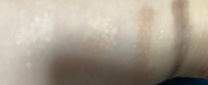 パーフェクト アイシャドウパレット/DHC/アイシャドウパレットを使ったクチコミ(3枚目)