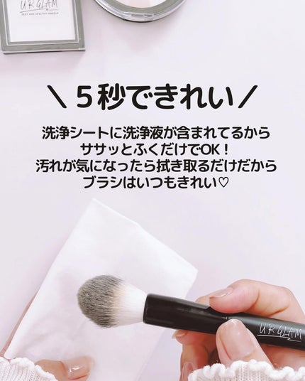 メイクブラシ専用クリーナー/DAISO/その他化粧小物を使ったクチコミ(4枚目)