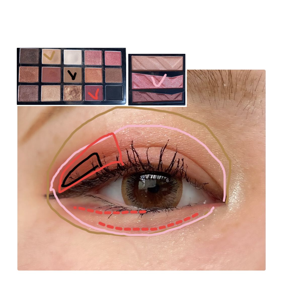 プレイカラーアイパレット レオパードランウェイ/ETUDE/アイシャドウパレットを使ったクチコミ（3枚目）